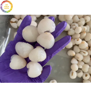Litchis surgelés IQF de qualité supérieure, sans sucre ajouté, fruit tropical sucré, emballés sous vide, fournisseur en gros, export, directement de l'usine - Product Image 3