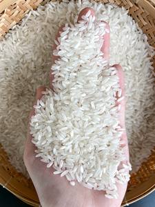 Exportador Número 1 de Vietnam - Arroz Blanco de Grano Largo |   Certificación ISO HACCP, HALAL, Muestra Gratuita |   Contacte a la Sra. Aurora+OO84919574297 - Product Image 2