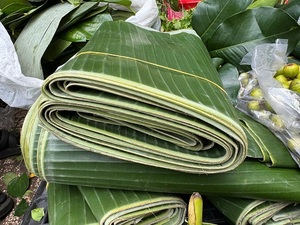 ใบตองสดเกรดพรีเมียม ใบตองเขียวธรรมชาติ เกรดอาหาร ผู้จัดจำหน่ายส่งออกจากเวียดนาม สำหรับทำอาหาร ห่ออาหาร และบรรจุภัณฑ์อาหาร - Product Image 4