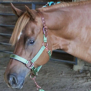 Cuerda de Amarre para Caballos Trenzada Premium con Mosquetón Metálico Reforzado, Cuerda Resistente y Suave para Control de Caballos, Montar y Entrenar - Product Image 6