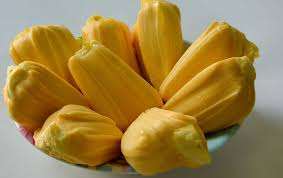 Jackfruit congelé |   Usine au Vietnam |   Grandes commandes disponibles - Product Image 4