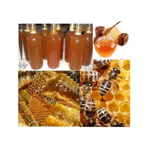 Miel Natural Premium para Servicios de Alimentación y Suministro de Supermercados, Endulzante Versátil para Hornear, Cocinar, Preparar Té y Bebidas - Product Image 6