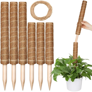 Varilla de Soporte para Plantas de Fibra de Coco 100% Natural, Ecológica, Retiene la Humedad, para Flores y Plantas Verdes - Product Image 5