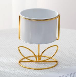 Macetero de Metal con Base de Hoja de Oro Creativa, Bonita Maceta Blanca de Escritorio, Florero de Hierro de Estilo Nórdico para Hogar y Oficina - Product Image 1