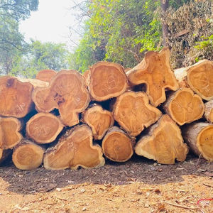 Troncos de Madera de Ébano Negro de 80 cm de Diámetro, de Calidad, a Precio de Fábrica - Product Image 1