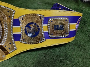 Cinturón de Campeonato de la Gira de Despedida de John Cena, Aleación de Zinc, Chapado en Oro, Diseño de Águila, Personalizable, Ligero, Unisex, MMA, Artes Marciales - Product Image 2