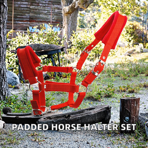 Juego de Correas para Caballo de 1 Pulgada (25 mm) de Ancho, Fabricadas con Cinta de Polipropileno/Nailon, con Ojales de Aleación de Zinc, Almohadilla de Forro Polar, Personalizable, Estilo Silla de Montar Occidental - Product Image 2