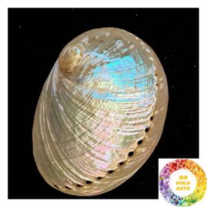 Iridescent <b>Abalone</b> <b>Shell</b> Material for Jewelry Making Handmade Accessories Pendant Craft Art and Creative Design - Product Image 2