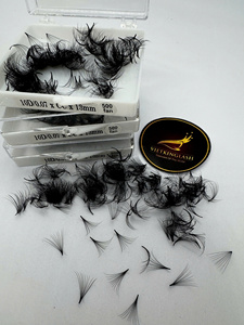 Wholesale 10D 0.07 13mm Premade <b>Volume</b> Fans Eyelash Extensions 500 Fans Korean PBT Cashmere Matte Black C CC D Curl Easy Fan - Product Image 1