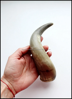 Cornes de buffle/vache européennes brutes, polies et sculptées, en ivoire, thème marin, écologiques, taille personnalisée, pour décoration de la maison, vin et boissons