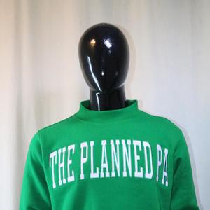 Sudadera THE PLANNED PA con cuello simulado, 450 GSM, bordado con nombre personalizado, corte holgado, 100% algodón, felpa francesa - Product Image 4