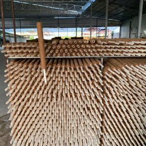 BEST SELLER Poteau en fibre de coco écologique et durable, support robuste pour plantes - Product Image 3