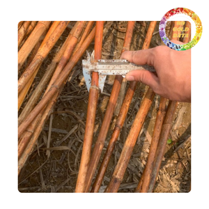 Fournisseur en gros de poteaux en rotin naturel du Vietnam pour l'artisanat du mobilier et les matériaux décoratifs - Product Image 2