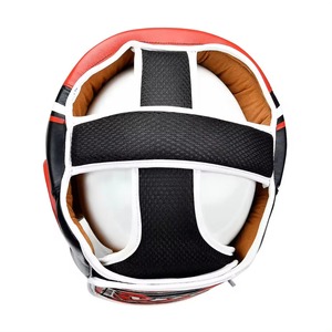 Protection de tête unisexe confortable en mousse moulée sur mesure pour Taekwondo et arts martiaux, par Wholesale Protek Group Industries - Product Image 6