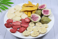SJ-03H Mini Huishoudelijke Lyofilisator Elektrische Vriesdroger Voor Voedselverwerking Voor Jackfruit Fruit Fruit