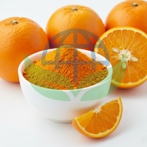 Polvo de Naranja Orgánico de Grado Alimenticio Secado por Aspersión - Suministro a Granel a Precios con Descuento para una Pureza del 100% - Product Image 4