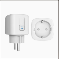 SH-SP-EU-001 Smart WiFi Plug 20A Standar EU Bersertifikasi CE Pemantauan Energi Kontrol Aplikasi Asisten Suara Kompatibel OEM ODM