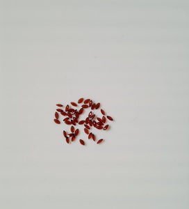 Natural Red <b>Garnet</b> 5x2.5MM Marquise Cut Best Quality Loose Gemstone for Jewelry Making - Product Image 2