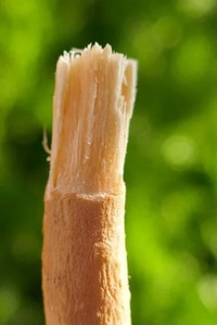 Bâtonnets de Miswak Naturels Purs pour l'Hygiène Buccale – Soin Dentaire Traditionnel à Base de Plantes pour Usage Quotidien - Product Image 4