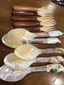 Cuillère artisanale en nacre, élégante, faite à la main, pour servir, par Tradebyd - Product Image 2
