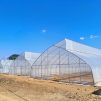 Serre agricole à un seul travert, type tunnel en polyéthylène, à toit en dents de scie, pour la culture de tomates – Vente chaude