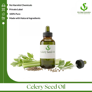 Celery Seed Oil Industrial Pack Supplier Offering Premium Essential Oil for Global Cosmetic Manufacturing Personal Care Products - Product Image 1