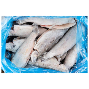 Poisson Tilapia Rouge Congelé pour l'Emballage et le Traitement - Product Image 5