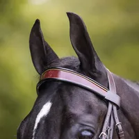 Bridon en cuir véritable de haute qualité sur mesure, équipement équestre en cuir Antares, haltères en cuir durables pour chevaux au meilleur prix