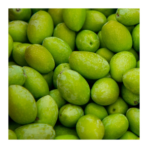 Suministro al por Mayor de Aceitunas Verdes Frescas para Importadores, Fabricantes de Alimentos, Supermercados y Empresas de Distribución Mayorista - Product Image 3