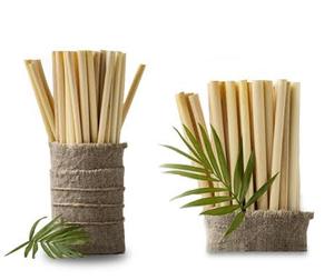 MÁS VENDIDO: Juego de Pajitas de Bambú Ecológicas de Alta Calidad, Estilo Clásico Blue Lotus Farm, Altamente Recomendado, con Cepillo de Limpieza - Product Image 4