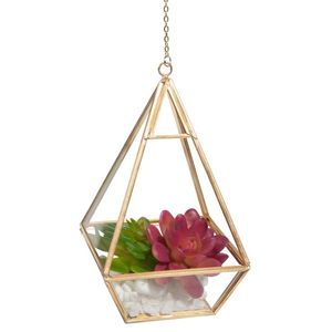 Terrario Geométrico Personalizado de Metal y Vidrio, Macetero de Vidrio en Forma de Cabaña para Plantas de Interior, Suculentas, Plantas Aéreas y Terrarios DIY - Product Image 4