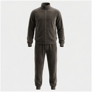 Ensemble de survêtement gris pour homme, manches longues, col montant, fermeture éclair sur le devant, couleur unie, respirant, décontracté, pour l'automne, coupe classique - Product Image 1