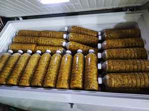 Le Vietnam exporte de grandes quantités de fruits de la passion surgelés de haute qualité à des prix raisonnables auprès de fournisseurs réputés au Vietnam - Product Image 6