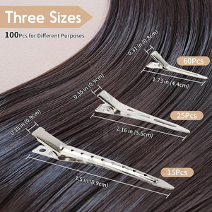Meilleur produit en gros : Ensemble de pinces à cheveux en métal argenté pour la coiffure professionnelle, pinces bec de canard pour boucles avec boîte de rangement transparente - Product Image 5