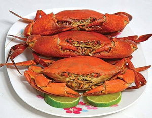 Camarones de Lodo Congelados IQF de Alta Calidad, Listos para Cocinar, Mariscos Premium para Venta al por Menor, Servicio de Alimentos y Catering - Product Image 6