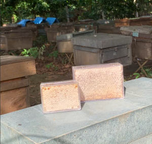 Panal de Miel Cruda Orgánica de Origen Vietnamita, Miel Dulce de Alta Calidad Directamente de Nuestras Colmenas - Product Image 3