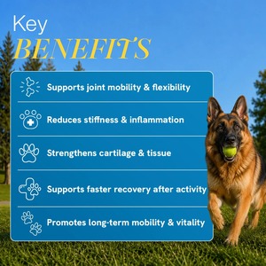 Complément alimentaire premium biologique à base d'huile de chanvre pour chiens et chats - Soin des articulations, soutien à la mobilité, bien-être quotidien - OEM/ODM - Product Image 6