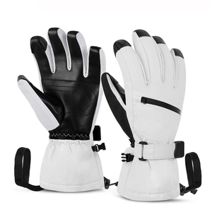 Gants de ski et de snowboard pour hommes et femmes, imperméables, isolés thermiquement, en spandex et coton, pour les sports d'hiver - Product Image 1