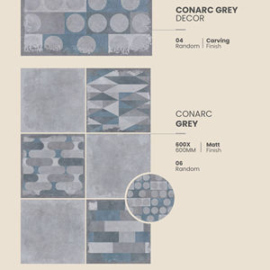 Azulejos de Porcelana Gris Rústico de Alta Calidad con Aspecto de Concreto Mate para Piso y Pared, 600x600 - Product Image 1