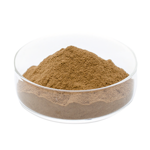 Extrait de champignon Crinière de lion le plus vendu 10:1, poudre d'Hericium Erinaceus 100% pure et naturelle de haute qualité, en gros, provenant d'Inde - Product Image 4