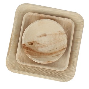 Compostable Palm Fiber Lunch Plates Earth Friendly Bio Based Round Shape <b>Tableware</b> For Outdoor Camping Picnic Party Occasions - Product Image 5