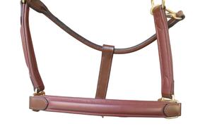 Catégorie de produits Halter surélevé en cuir souple indien de haute qualité avec raccords en laiton massif Prix de vente entier - Product Image 2