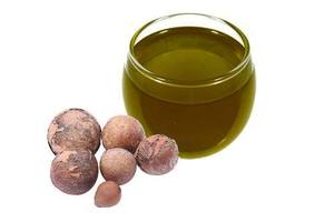 Aceite Esencial de Tamanu de Alta Pureza, Extraído de Semillas de Tamanu del Sur de la India, Proveedores Mayoristas que Ofrecen Precio Económico - Product Image 6