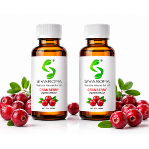 High Grade Cranberry Liquid Extract for Flavor Development Botanical Applications Personal Care Solutions and Commercial Product - Product Image 4