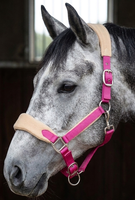HM GLOBAL - Halter en cuir durable de qualité supérieure, rembourré en polaire, réglable, avec boucles en acier, accessoires pour chevaux écologiques de haute qualité
