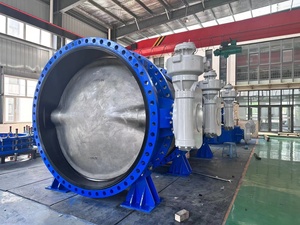 Actionneur à vis sans fin Veyron Water DI CF8M SS316 Rotork Dn600 2200 1000 1800 1600 Captop Cap 24/48/88 pouces Caoutchouc EPDM Papillon - Product Image 4