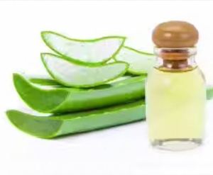 Aceite de Aloe Vera Orgánico de Excelente Calidad para el Cuidado de la Belleza e Hidratación de la Piel, por Exportador Indio - Product Image 5