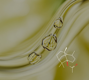 Acetato de Pachulí (PL-002) Aroma Van - Product Image 2