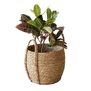 Set of 3 Round Seagrass <b>Baskets</b> Handmade <b>Storage</b> <b>Basket</b> Wholesale eco-friendly Made in Vietnam - Product Image 3