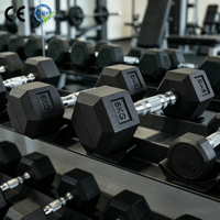 VIGFIT Dumbbell Besi Cor Kepala Heksagonal Tahan Lama dengan Pegangan Krom Ergonomis untuk Latihan Kekuatan Lengan dan Bahu-Profesional